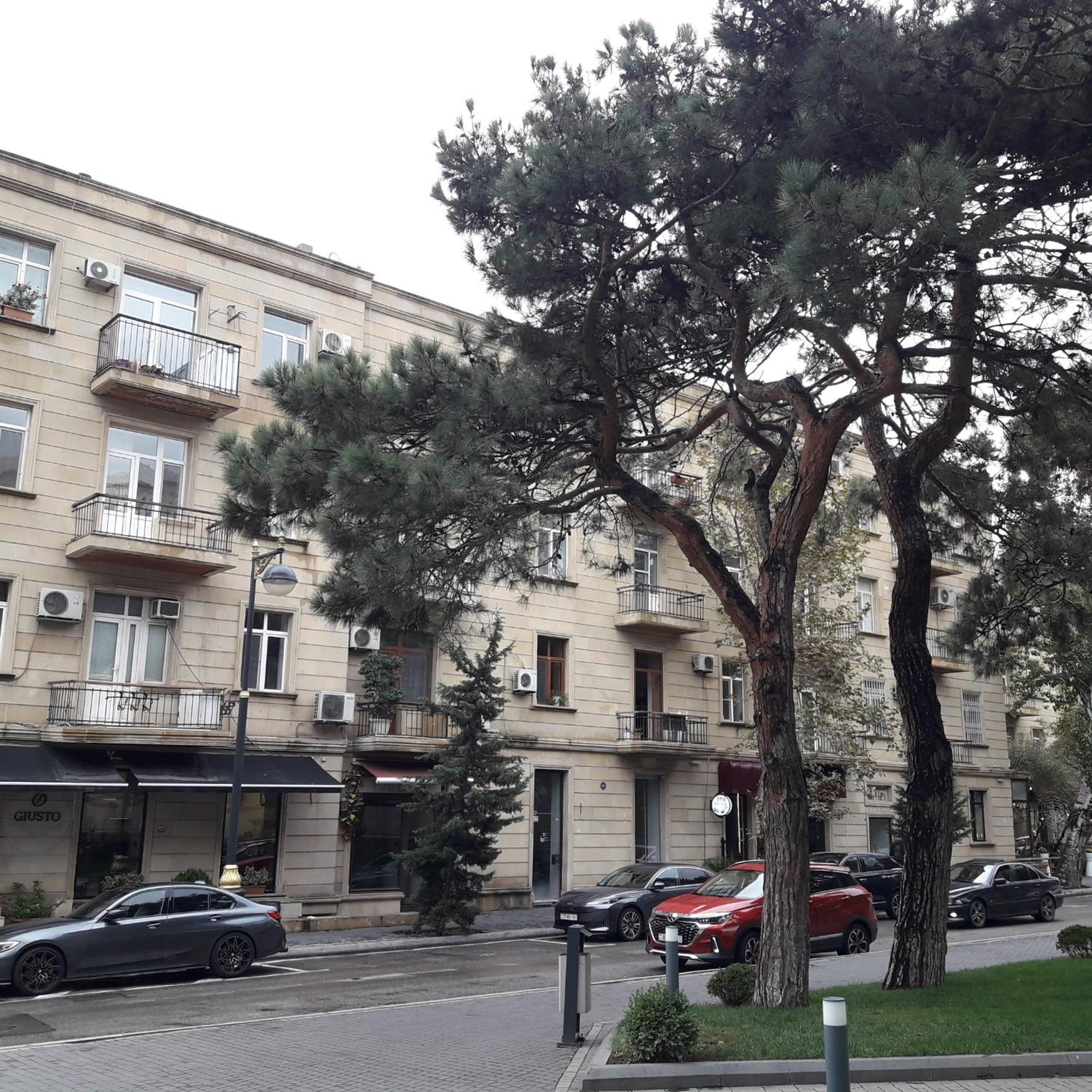 Apartment Niyazi 5 Baku Exterior photo